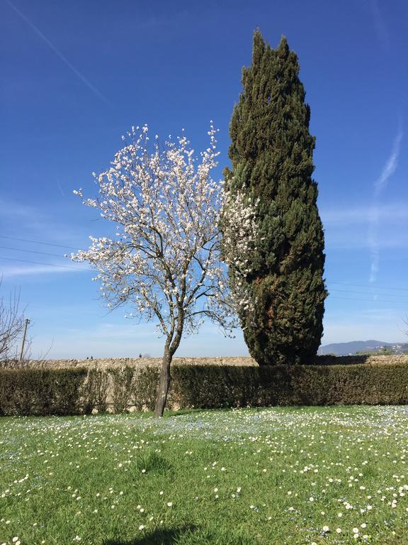 Appartement Il Padule *