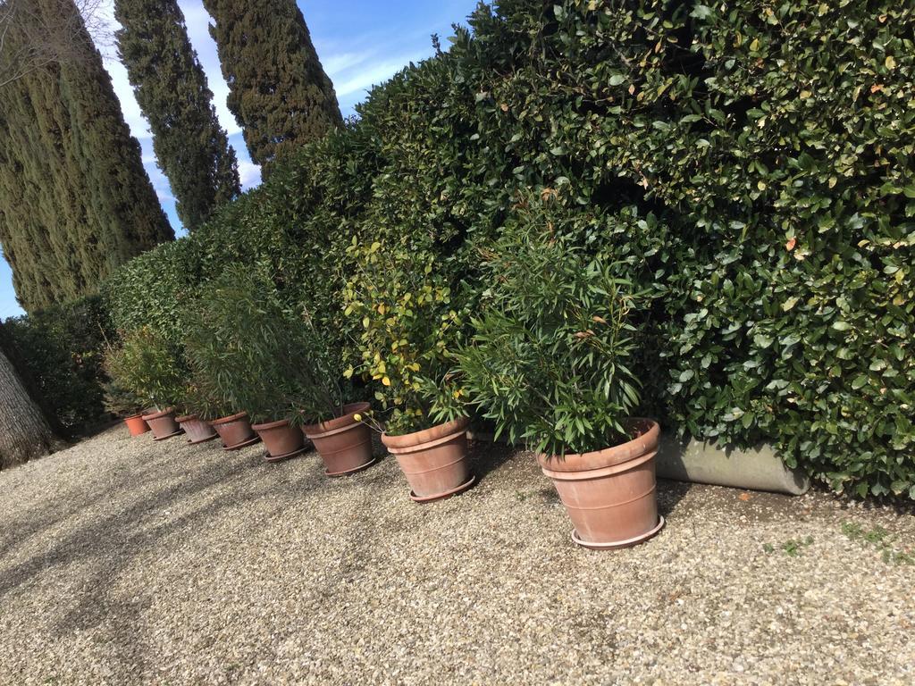 Il Padule Appartement *