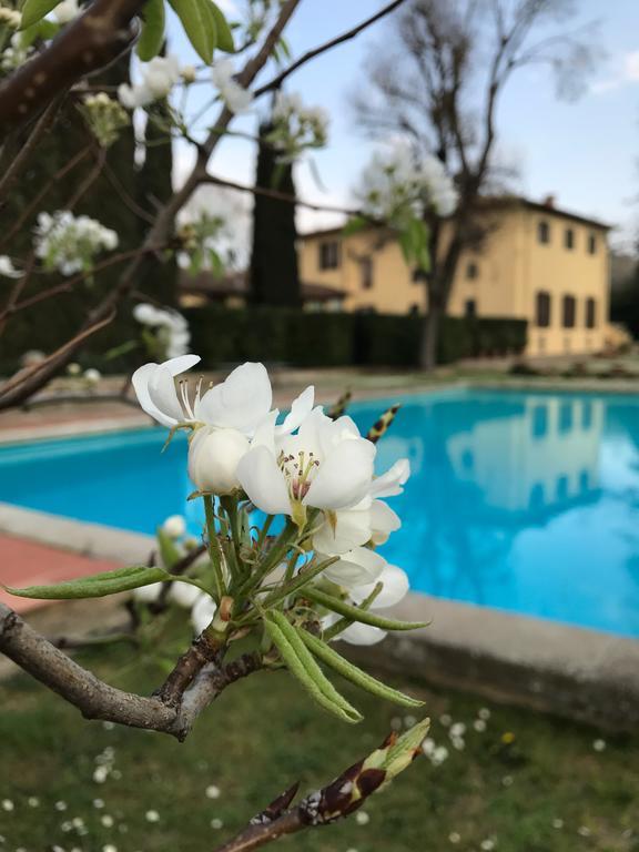 Appartement Il Padule